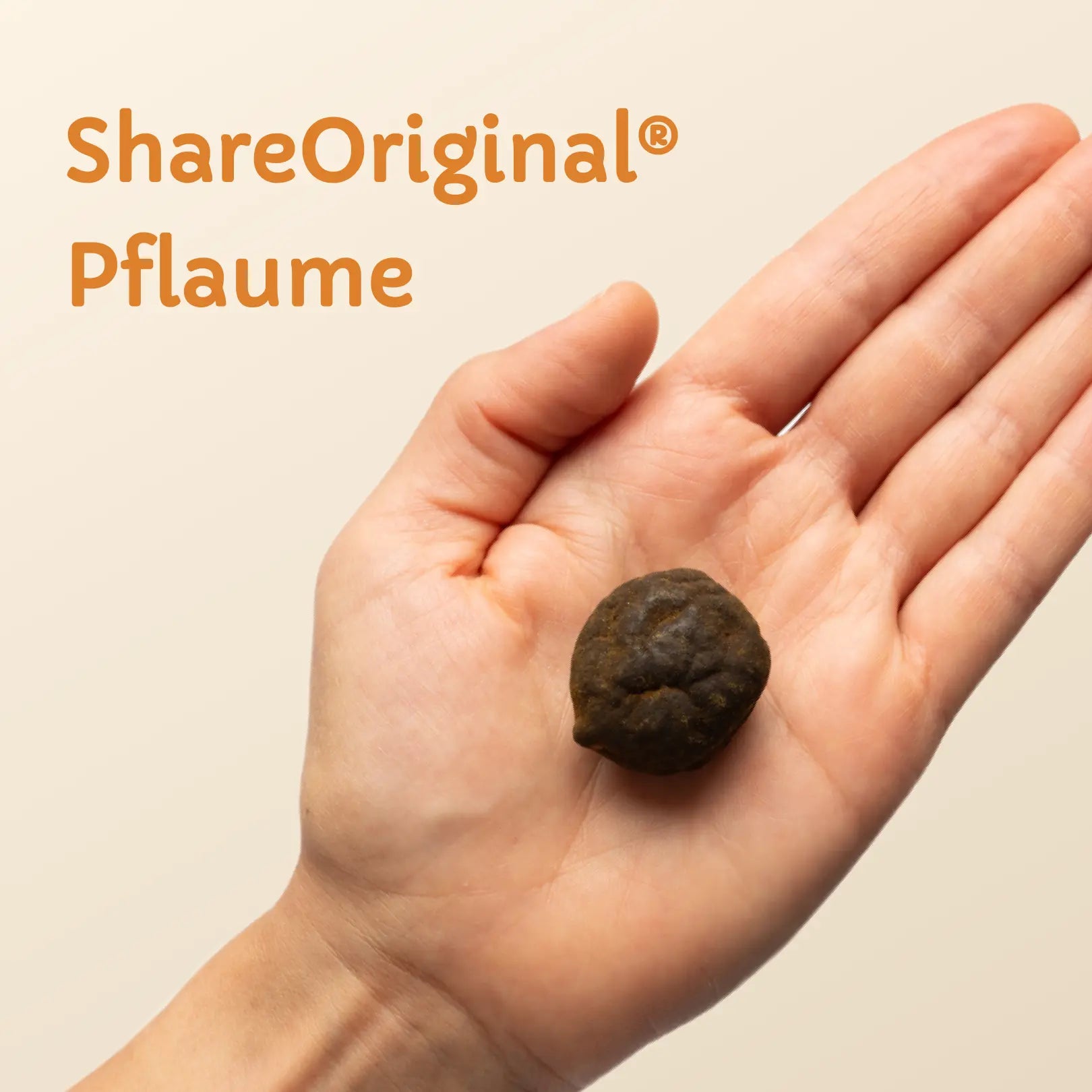 ShareOriginal® Pflaume (jap. Aprikose)