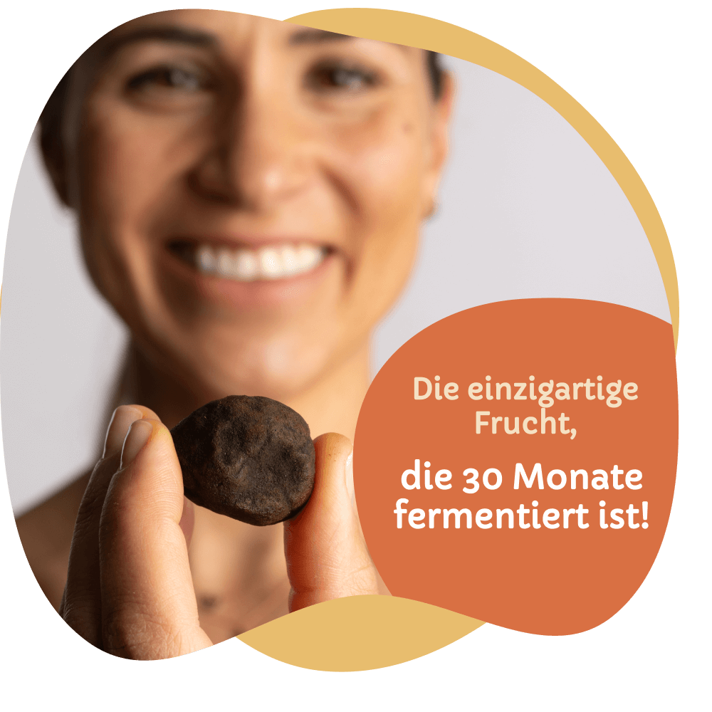 ShareOriginal® Pflaume (jap. Aprikose)